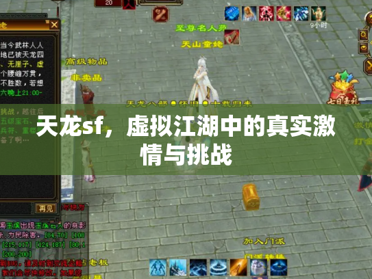天龙sf，虚拟江湖中的真实激情与挑战
