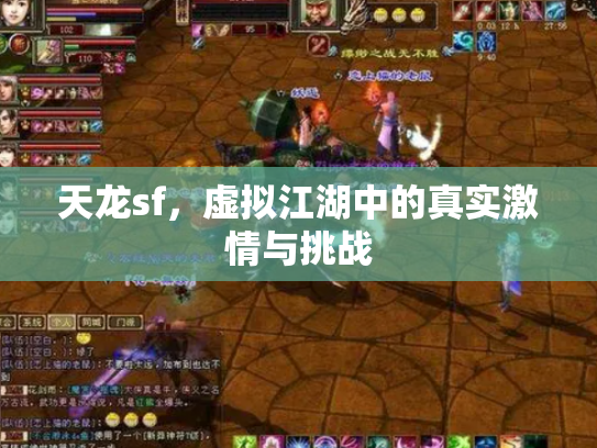 天龙sf，虚拟江湖中的真实激情与挑战