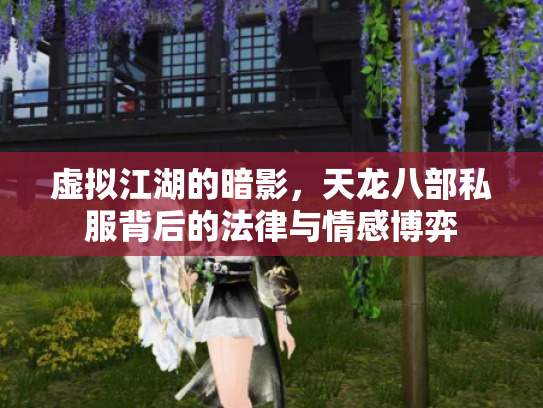 虚拟江湖的暗影，天龙八部私服背后的法律与情感博弈