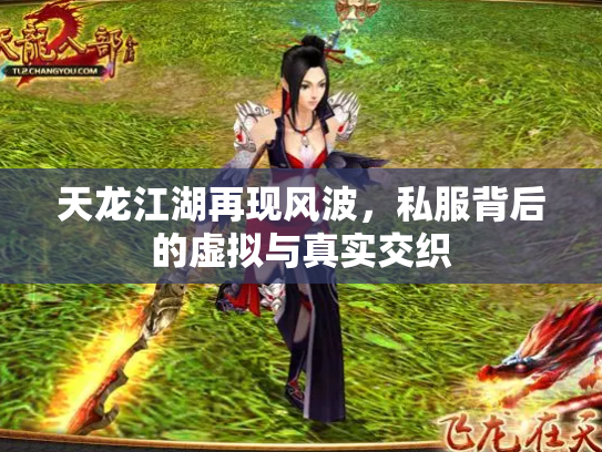 天龙江湖再现风波，私服背后的虚拟与真实交织
