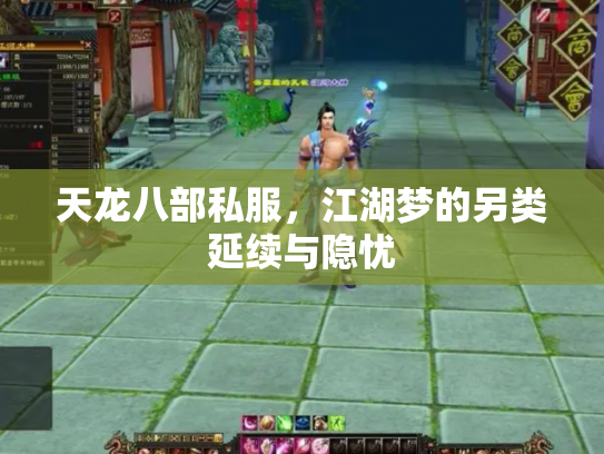 天龙八部私服，江湖梦的另类延续与隐忧