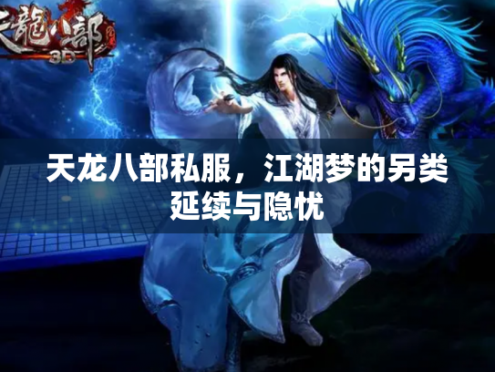 天龙八部私服，江湖梦的另类延续与隐忧