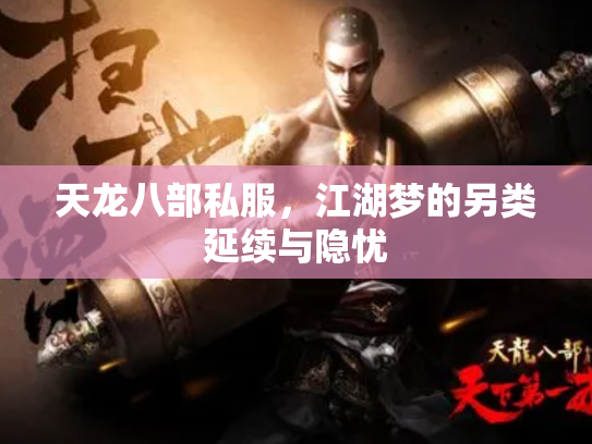 天龙八部私服，江湖梦的另类延续与隐忧