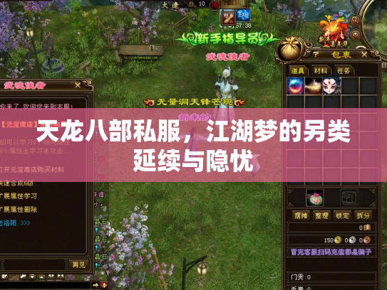 天龙八部私服，江湖梦的另类延续与隐忧