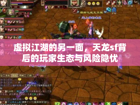 虚拟江湖的另一面，天龙sf背后的玩家生态与风险隐忧