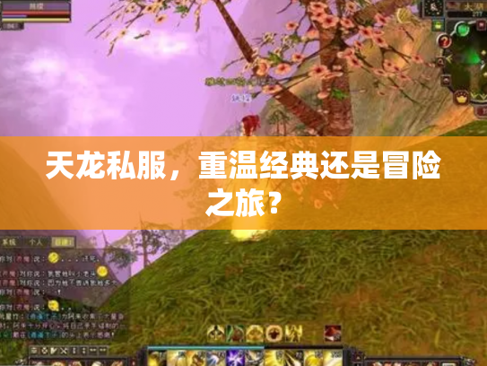 天龙私服，重温经典还是冒险之旅？