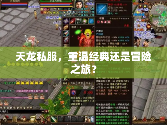 天龙私服，重温经典还是冒险之旅？
