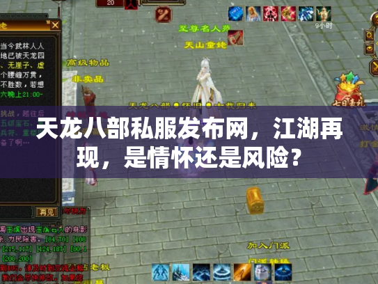 天龙八部私服发布网，江湖再现，是情怀还是风险？