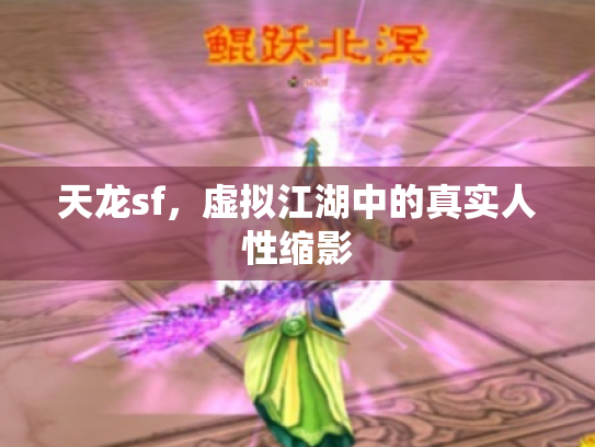 天龙sf，虚拟江湖中的真实人性缩影