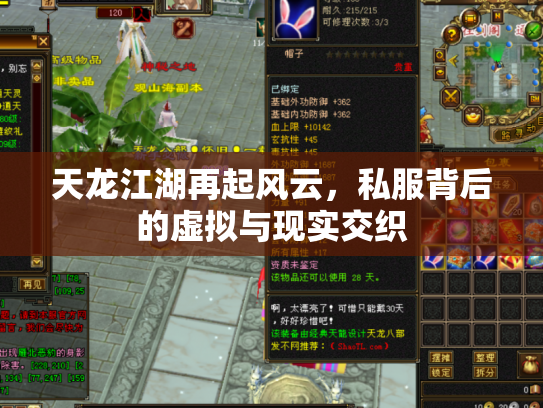 天龙江湖再起风云，私服背后的虚拟与现实交织