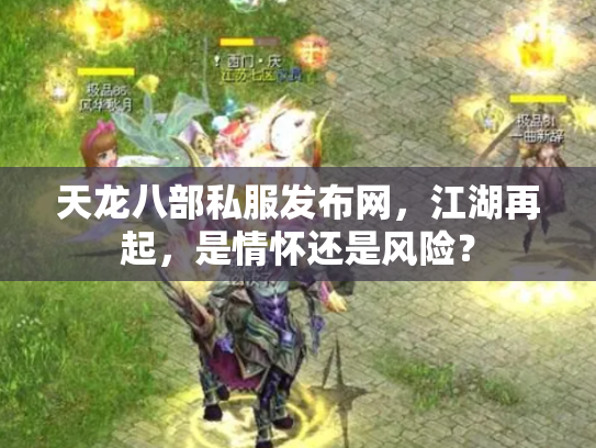 天龙八部私服发布网，江湖再起，是情怀还是风险？