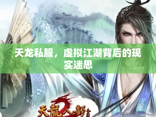 天龙私服，虚拟江湖背后的现实迷思