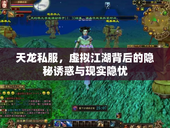天龙私服，虚拟江湖背后的隐秘诱惑与现实隐忧