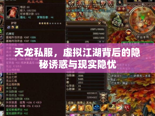 天龙私服，虚拟江湖背后的隐秘诱惑与现实隐忧