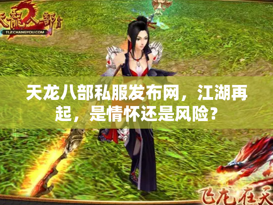 天龙八部私服发布网，江湖再起，是情怀还是风险？