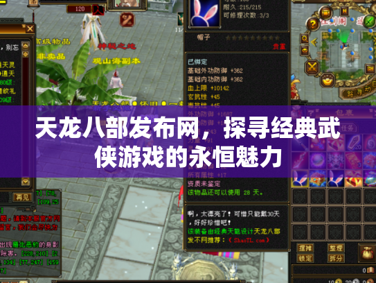 天龙八部发布网，探寻经典武侠游戏的永恒魅力
