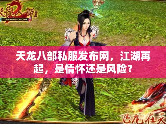 天龙八部私服发布网，江湖再起，是情怀还是风险？