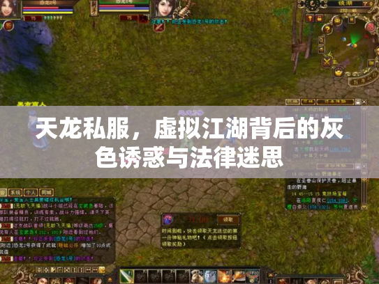 天龙私服，虚拟江湖背后的灰色诱惑与法律迷思
