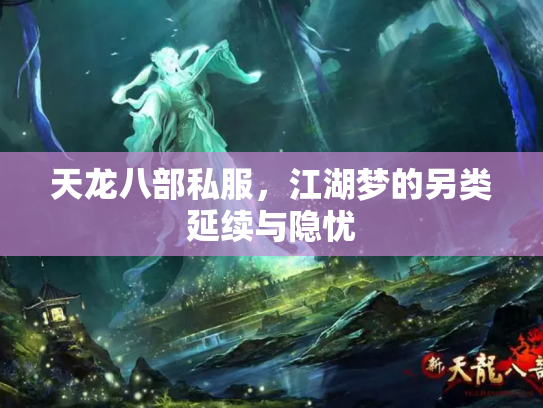 天龙八部私服，江湖梦的另类延续与隐忧