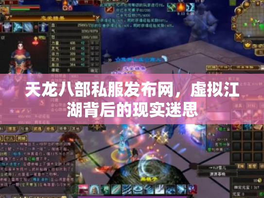 天龙八部私服发布网，虚拟江湖背后的现实迷思