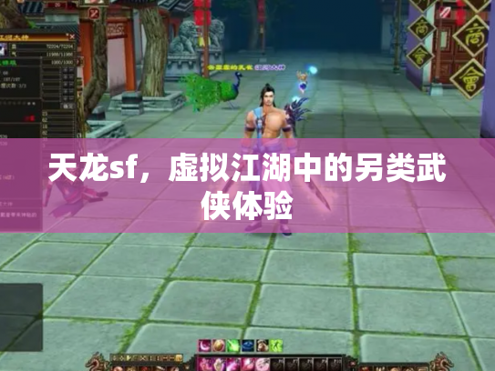 天龙sf，虚拟江湖中的另类武侠体验