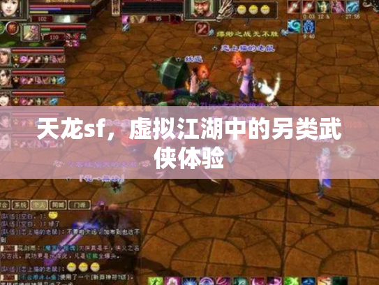 天龙sf，虚拟江湖中的另类武侠体验