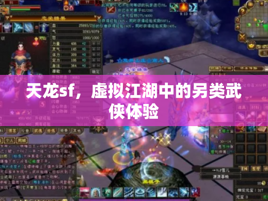 天龙sf，虚拟江湖中的另类武侠体验
