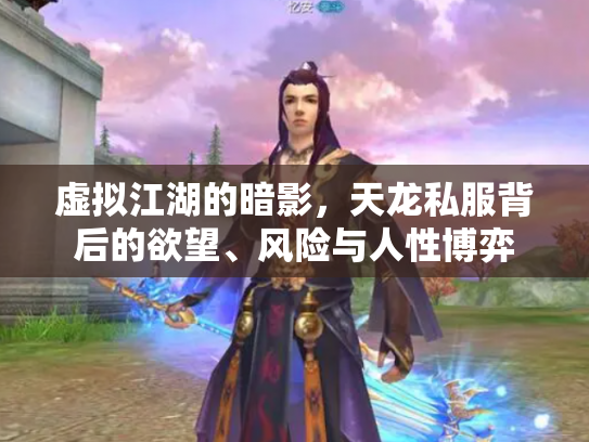 虚拟江湖的暗影，天龙私服背后的欲望、风险与人性博弈