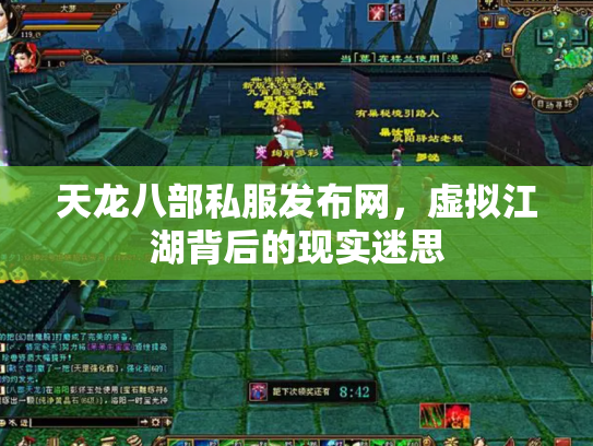 天龙八部私服发布网，虚拟江湖背后的现实迷思