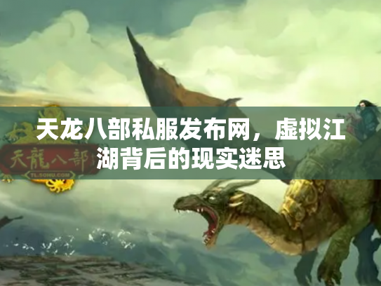 天龙八部私服发布网，虚拟江湖背后的现实迷思