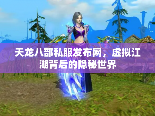 天龙八部私服发布网，虚拟江湖背后的隐秘世界