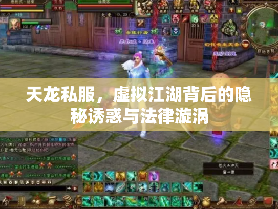 天龙私服，虚拟江湖背后的隐秘诱惑与法律漩涡
