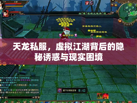 天龙私服，虚拟江湖背后的隐秘诱惑与现实困境