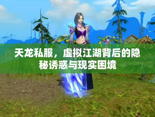 天龙私服，虚拟江湖背后的隐秘诱惑与现实困境