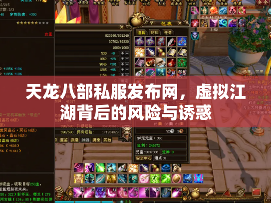 天龙八部私服发布网，虚拟江湖背后的风险与诱惑