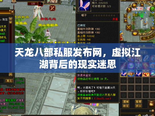 天龙八部私服发布网，虚拟江湖背后的现实迷思