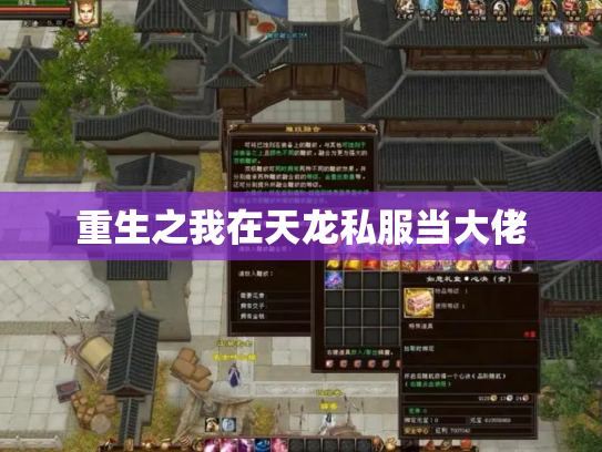 重生之我在天龙私服当大佬