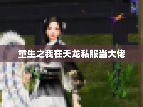 重生之我在天龙私服当大佬