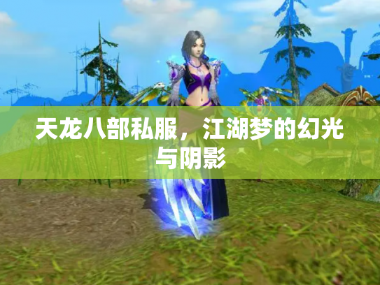 天龙八部私服，江湖梦的幻光与阴影