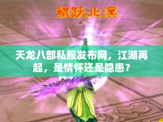 天龙八部私服发布网，江湖再起，是情怀还是隐患？