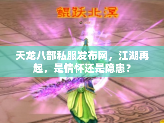 天龙八部私服发布网，江湖再起，是情怀还是隐患？
