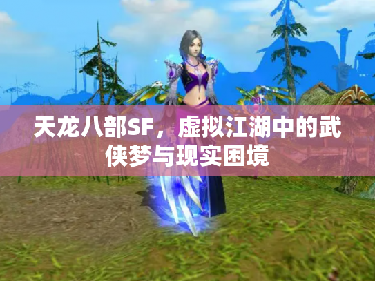 天龙八部SF，虚拟江湖中的武侠梦与现实困境