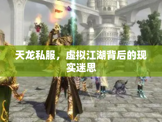 天龙私服，虚拟江湖背后的现实迷思