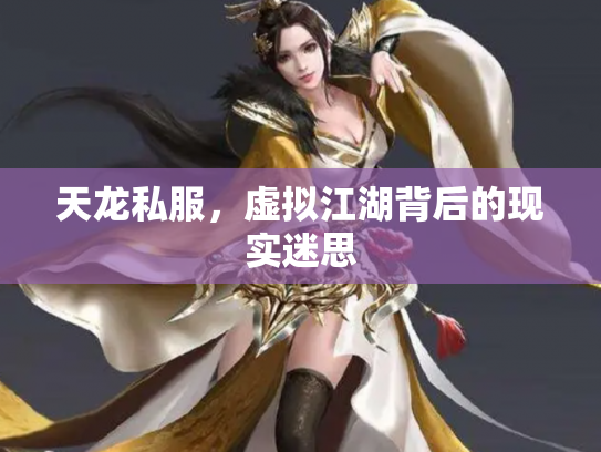 天龙私服，虚拟江湖背后的现实迷思