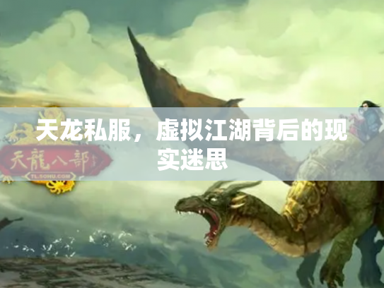 天龙私服，虚拟江湖背后的现实迷思