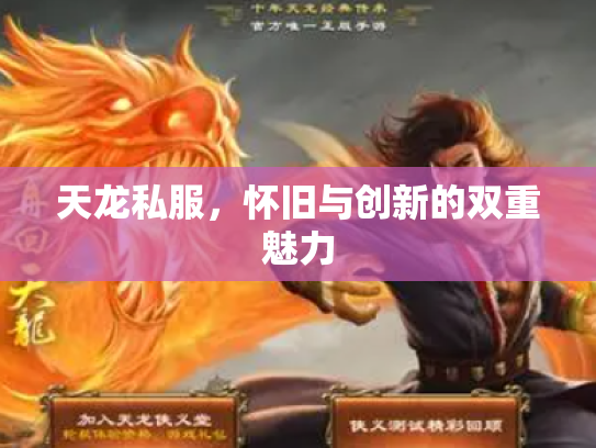 天龙私服，怀旧与创新的双重魅力