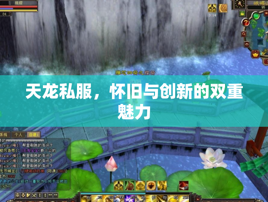 天龙私服，怀旧与创新的双重魅力