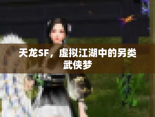 天龙SF，虚拟江湖中的另类武侠梦