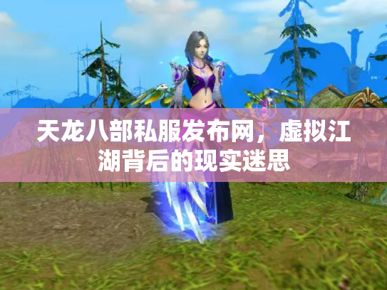天龙八部私服发布网，虚拟江湖背后的现实迷思