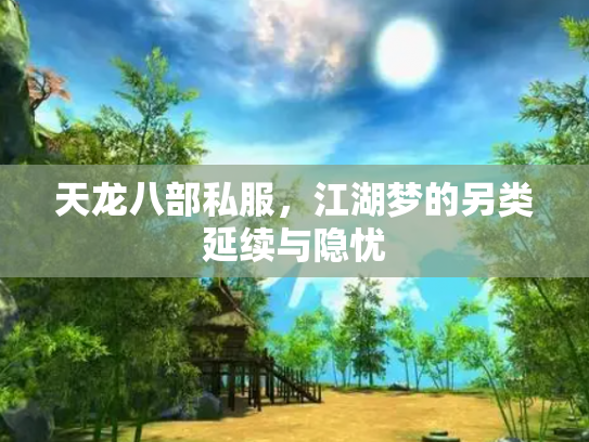 天龙八部私服，江湖梦的另类延续与隐忧